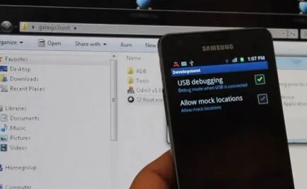 Firmware cum se face