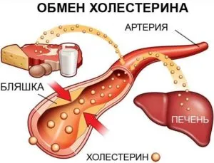 boli vasculare picioare, de ce rănit, care sunt simptomele, fotografie, tratamentul de tratament vascular