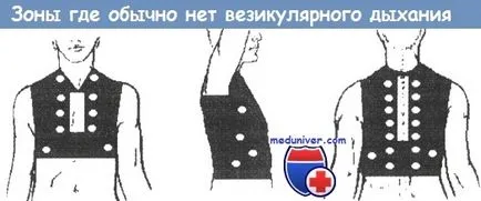 Sfaturi pentru a face cu respirația veziculare (respirație volum vezicular) Sfaturi pentru a face cu respirația vezicular