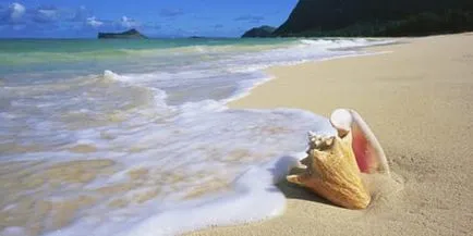 carte mare vis ce vis mare vis