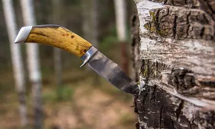 Vis cuțit Interpretare, ceea ce un vis într-un vis pentru a vedea cuțitul (ceea ce o interpretare de vis) Vis cuțit Interpretare, ceea ce un vis într-un vis pentru a vedea cuțit