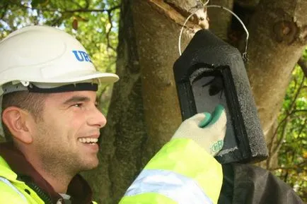 ecologie Specialitatea și faunei sălbatice care lucrează (de specialitate) Specialitatea ecologie și natură care conduc