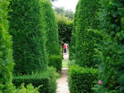 Crearea Topiary modul de a face copaci de fericire
