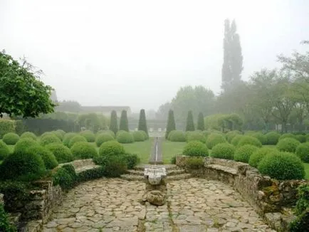 Crearea Topiary modul de a face copaci de fericire