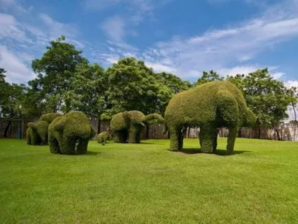 Crearea Topiary modul de a face copaci de fericire