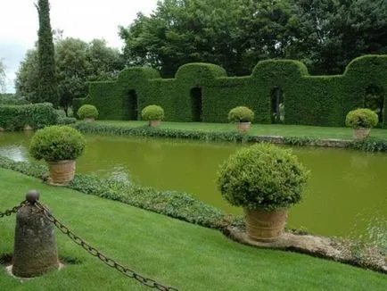 Crearea Topiary modul de a face copaci de fericire