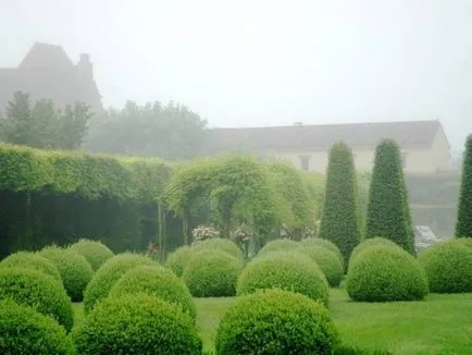 Crearea Topiary modul de a face copaci de fericire