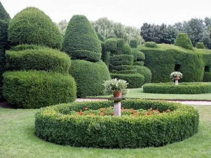 Crearea Topiary modul de a face copaci de fericire