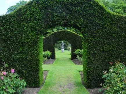 Crearea Topiary modul de a face copaci de fericire