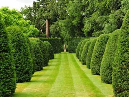 Crearea Topiary modul de a face copaci de fericire
