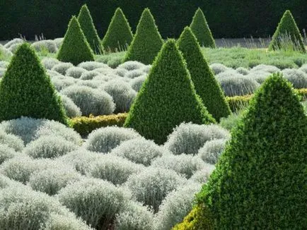 Crearea Topiary modul de a face copaci de fericire