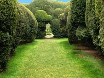 Crearea Topiary modul de a face copaci de fericire