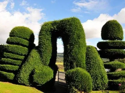 Crearea Topiary modul de a face copaci de fericire