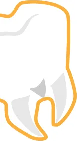 Stomkred, credite de stomatologie