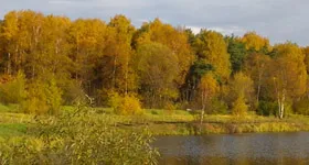 Poezii despre natura poeților români (sezoanele) Poezii despre natura poeților români