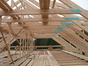 sistem picior Rafter, tratament, impregnare