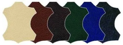 Sacoșe din eco-piele în valoare de cumpărare și care sunt beneficiile lor (cumpărare) Sacoșe din eco-piele în valoare de cumpărare și care sunt avantajele lor
