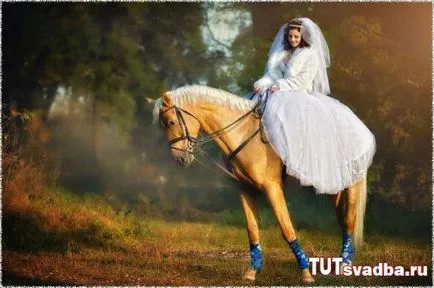 sesiune foto de nunta cu cai - un portal de nunta aici nunta
