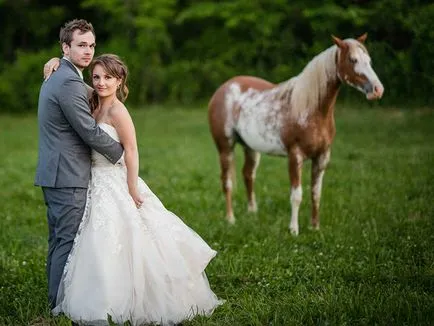 Nunta călare câteva fotografii pentru mirese cu cai din categoria de povești de nunta - (nunta) Nunta călare câteva fotografii pentru mirese cu cai din categoria de povești de nunta -