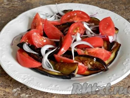 Salata de cald, cu vinete și roșii - pregătirea pas cu pas, cu fotografii