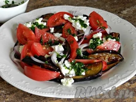 Salata de cald, cu vinete și roșii - pregătirea pas cu pas, cu fotografii
