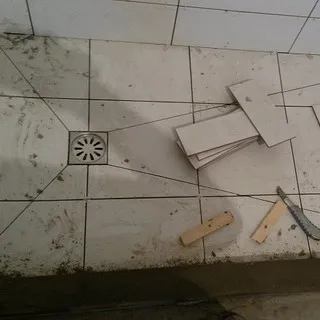 Dispozitive de Tehnologie gresie Tigla podea cu fotografii și video, pardoseli reparații țiglă