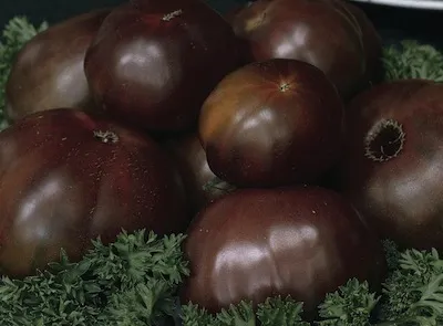 Cel mai bun ghid, modul de a alege tomate