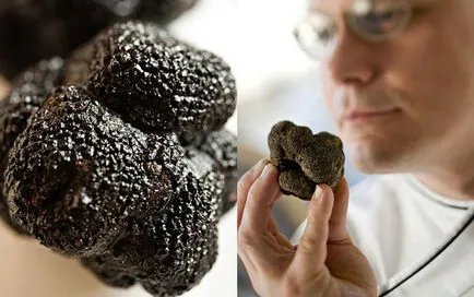 Truffle - site-ul de locuri speciale