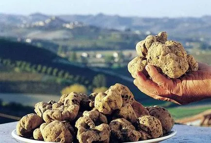 Truffle - site-ul de locuri speciale