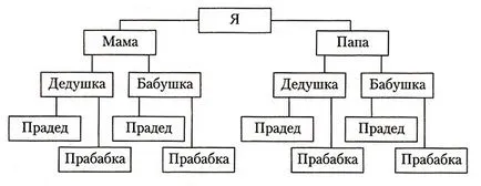 Aflați cum să facă și vopsea arbore genealogic pedigree - tutore pentru mama (Novosibirsk) Aflați cum să facă și arborele genealogic al familiei vopsea pedigree - tutore pentru mama
