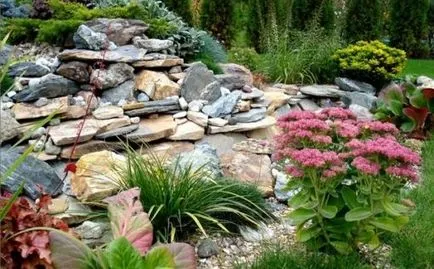 Decorarea un site grădină cu mâinile proprii, ls