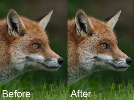 Îmbunătățirea clarității imaginilor cu ajutorul filtrului „contrastul de culoare», Photoshop pentru fotograf (claritate) Îmbunătățirea claritatea imaginilor folosind un filtru de „contrast de culoare», Photoshop pentru fotograf