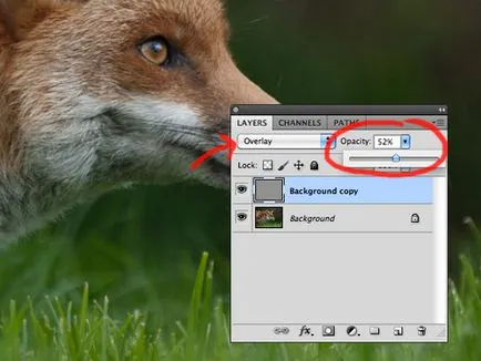 Îmbunătățirea clarității imaginilor cu ajutorul filtrului „contrastul de culoare», Photoshop pentru fotograf (filtru) Îmbunătățirea claritatea imaginilor folosind un filtru de „contrast de culoare», Photoshop pentru fotograf