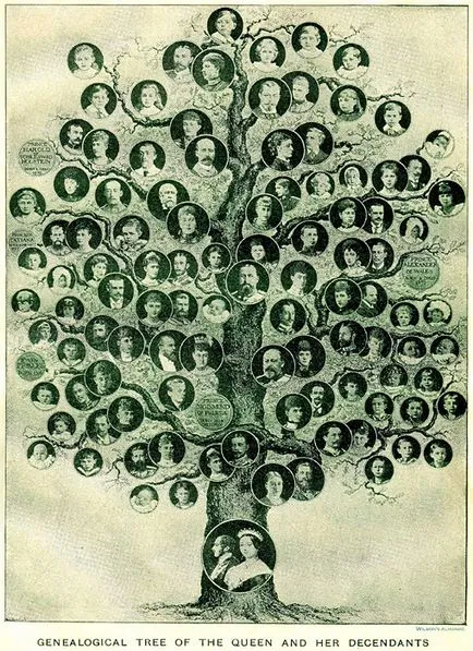 Aflați cum să facă și vopsea arbore genealogic pedigree - tutore pentru mama (Novosibirsk) Aflați cum să facă și arborele genealogic al familiei vopsea pedigree - tutore pentru mama