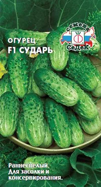 soiuri rezistente la boli de castravete - sfaturi de vară