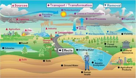 Lecția - Cazul „profesie ecologist“ - un portal pentru femeile moderne (profesie) Lecția - Cazul „profesie ecologist“ - un portal pentru femei moderne