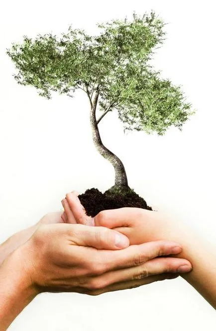 Lecția - Cazul „profesie ecologist“ - un portal pentru femeile moderne (apă pământ aer) Lecția - Cazul „profesie ecologist“ - un portal pentru femei moderne