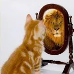 Credința are 6 pasi simpli cum sa crezi in tine si puterea ta, blog Ivan rybaruka