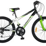 Ciclism (excursii cu bicicleta) sau călătorie cu bicicleta singur și în companie (ciclism) Ciclism (excursii cu bicicleta) sau călătorie cu bicicleta singur și în companie