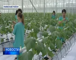 În Bashkortostan, salariile din sectorul public vor crește în mod substanțial