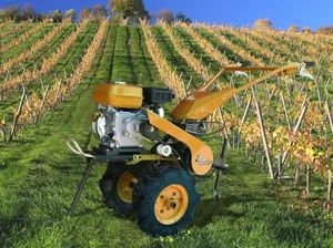 Alegerea speciilor existente cultivator cu motor, avantajele, caracteristicile
