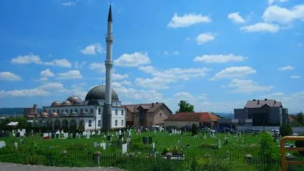 Viatti exp Kosovo