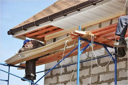 Opțiuni de streașină Binder - streașină de depozit (opțiuni de depunere streașină) Opțiuni de streașină Binder - streașină de depozit