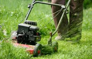 Tipuri, prețuri și caracteristici modul de a alege o masina de tuns iarba masina de tuns iarba pentru cabane, gradina, gradina bucătărie