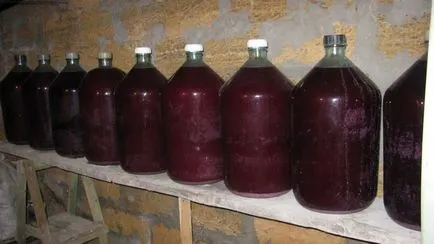 Vin și totul despre el