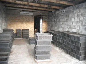 Cum să se înmulțească în casa de viermi