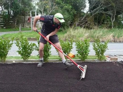 Cum de a planta iarba de gazon