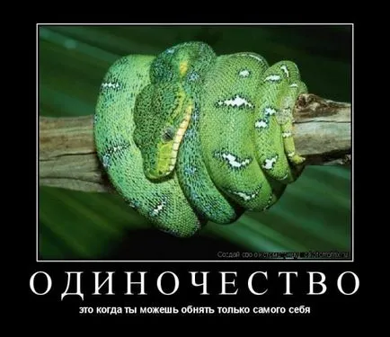 Cum de a trăi o singură viață Cum de a trăi o singură viață