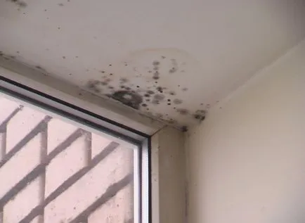 Umiditatea în tariful apartamentului, cum se măsoară umiditatea din camera, umezeala (umiditate) Umiditatea în tariful apartamentului, cum se măsoară umiditatea din camera, unele umiditate