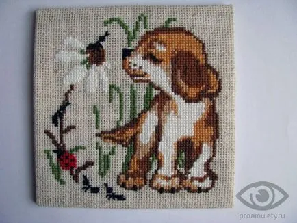 Brodat ia valoarea broderie, simboluri și semne în broderie (caractere) Broderie ia valoarea de broderie, semne și simboluri în broderie